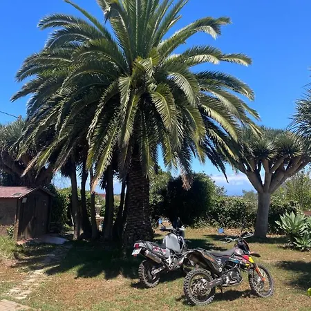 La Catata 拉拉古纳